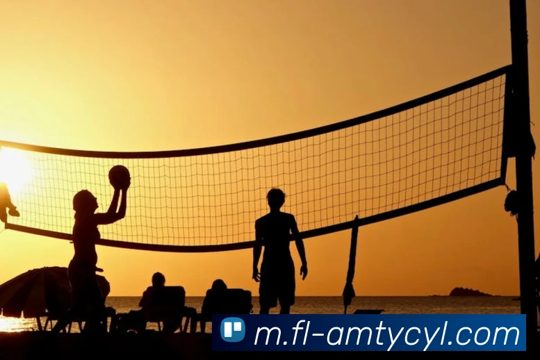 澳门太阳城平台生态图